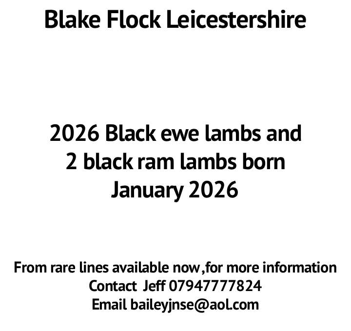 Marketplace advert