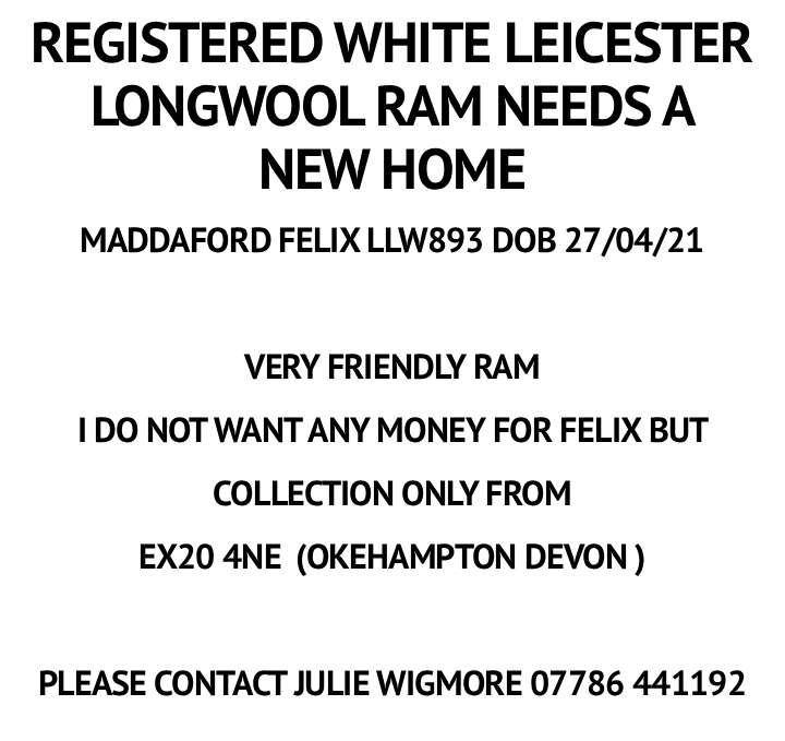 Marketplace advert
