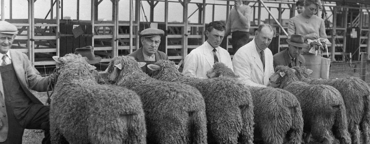 Leicester Longwool Sheep Breeders Association History