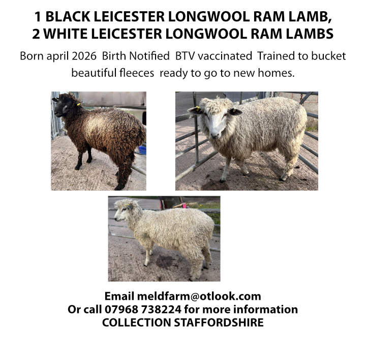 Marketplace advert