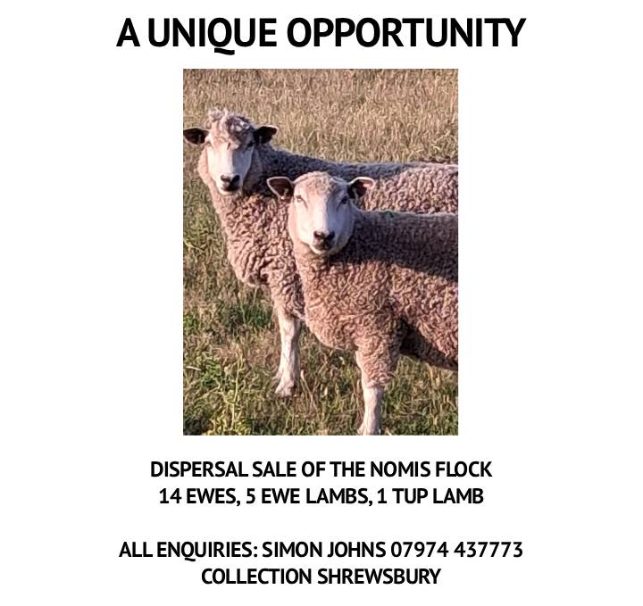 Marketplace advert
