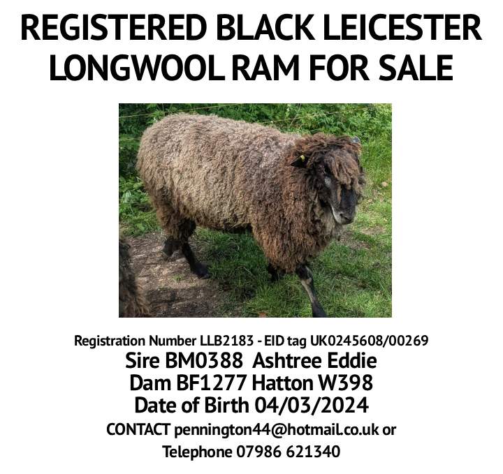 Marketplace advert